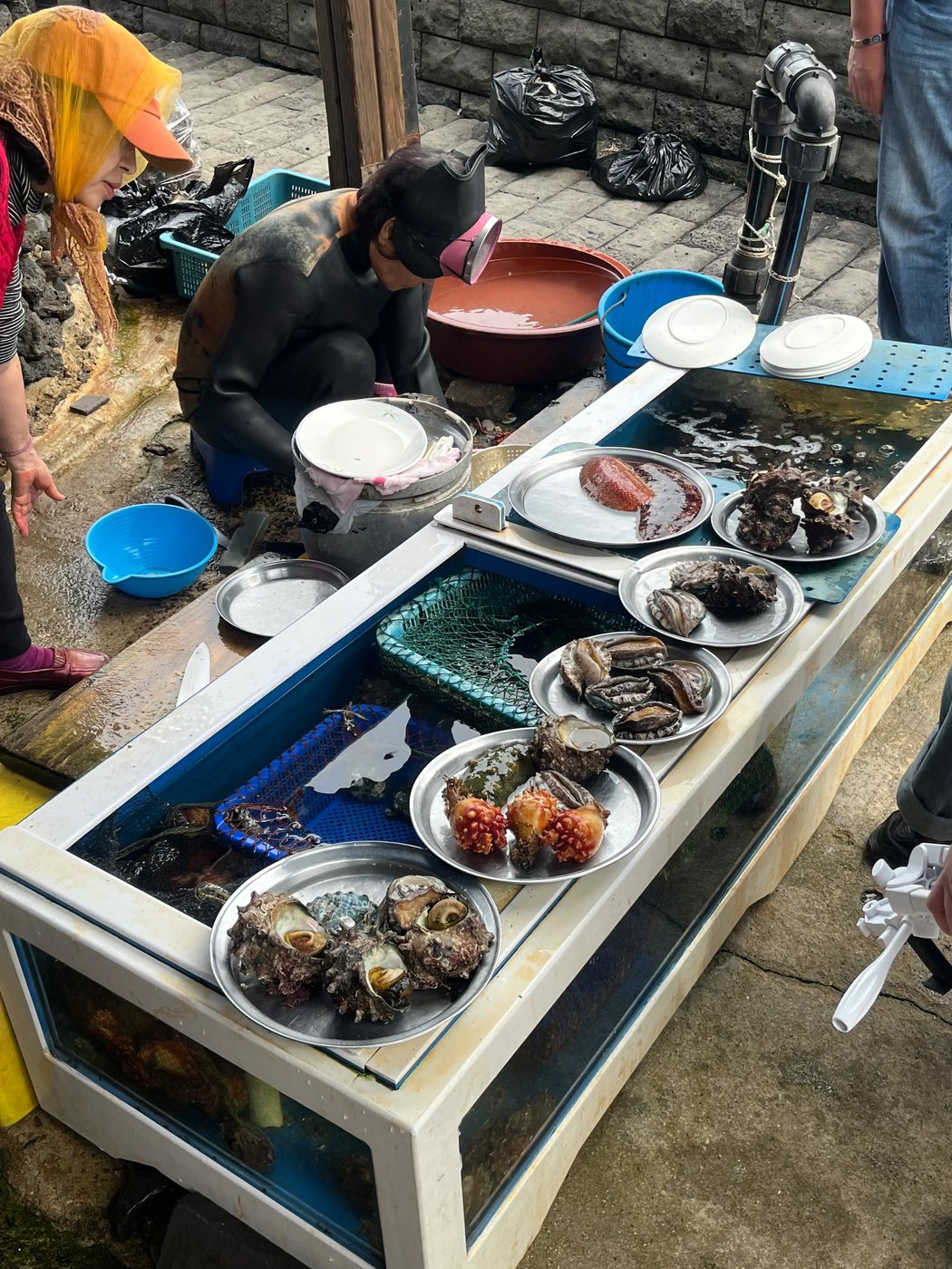 Puesto de marisco recién sacado del mar en Jeju
